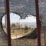 Welcome to ORIENT:ACTION