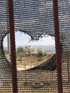 Welcome to ORIENT:ACTION